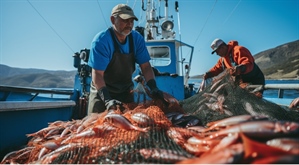 Ue, Alleanza Cooperative: con nuova programmazione a rischio fino al 63% risorse per pesca e...